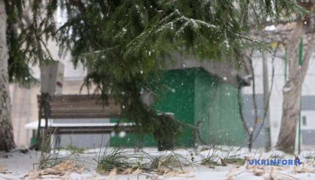 Перший сніг в Києві / Фото Анатолій Сірик, Укрінформ