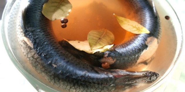 Як засолити оселедець в розсолі зі спеціями