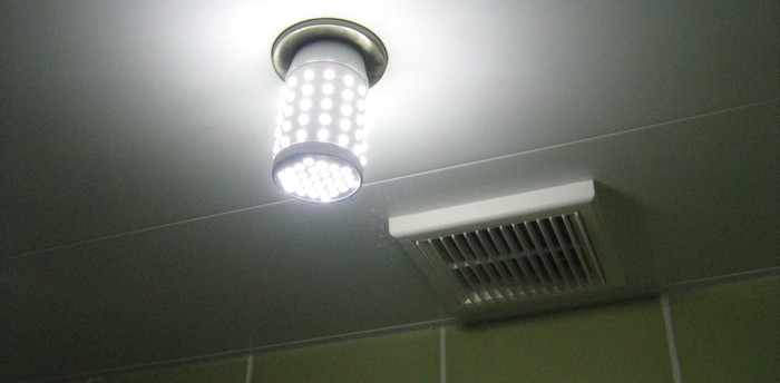 За заявами експертів, світлодіоди несуть чисте світло, без шкідливих елементів