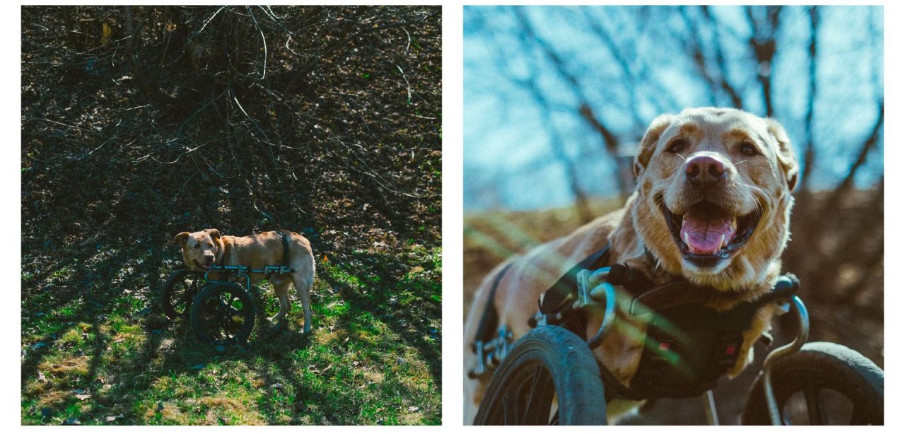 Галина Макарова і Арбат