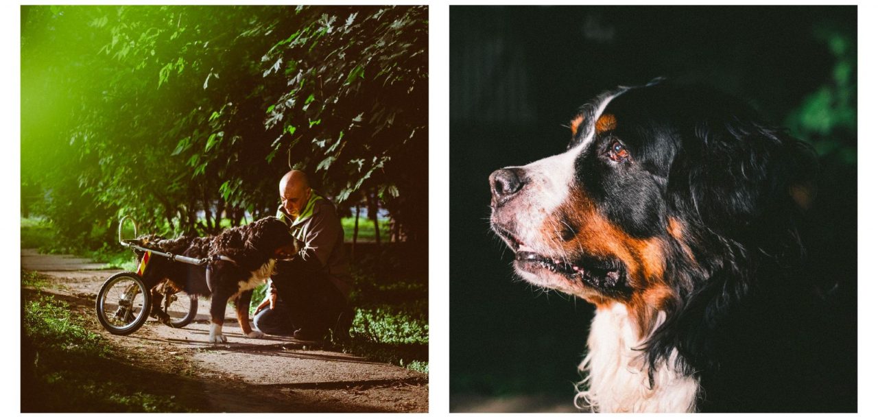 Сергій Звягін і Полкан