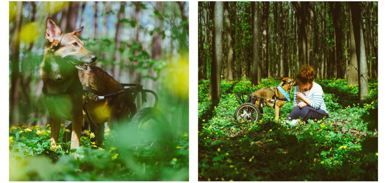 Інна Чернікова і Лісса