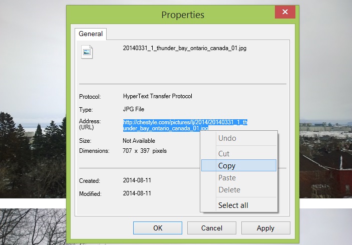 Правою кнопкою на фотографію, вибираємо Properties, в віконці виділяємо мишкою посилання, правою кнопкою мишки тиснемо на виділений текст і вибираємо Copy