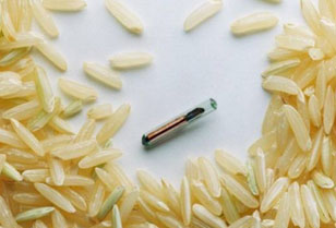 Транспондер - це мініатюрне електронний пристрій розміром трохи більший за рисового зернятка