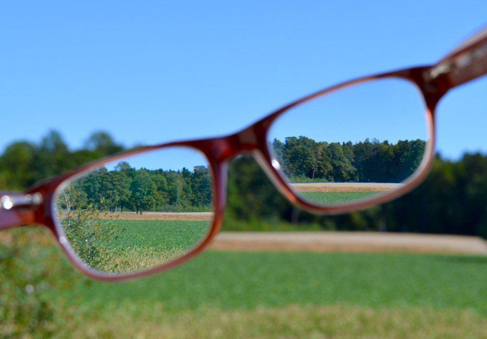 Способи відновлення зору будинку існують, допомагають при його збереженні і поліпшенні