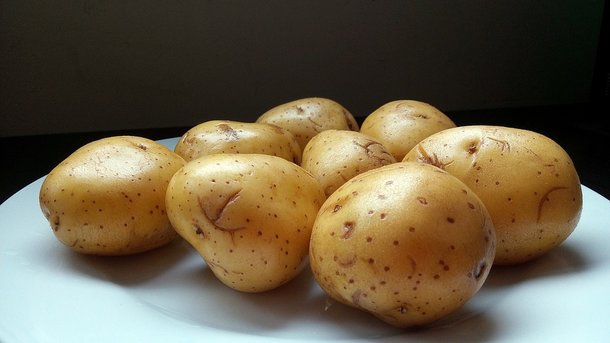 21 квітня 2017, 16:26 Переглядів:   Картопля в Україні дорожчає